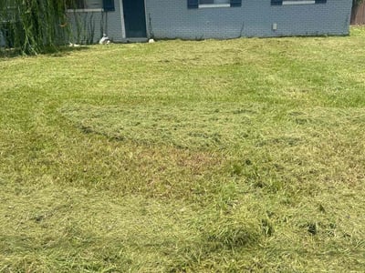 Lawn Care service in Worcester, 01608
