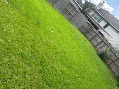 Lawn Care service in River Oaks, 76114