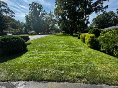 Lawn Care service in Centreville, 20120