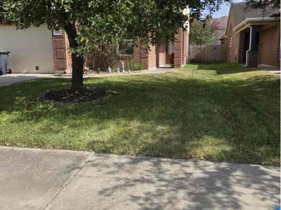 Lawn Care service in Lake Jackson, 77566