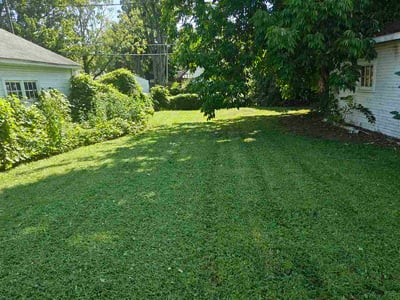 Lawn Care service in Charlotte, 48813