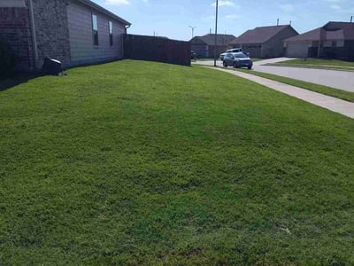 Lawn Care service in Haslet, 76052
