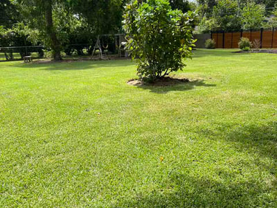 Lawn Care service in Lake Jackson, 77566