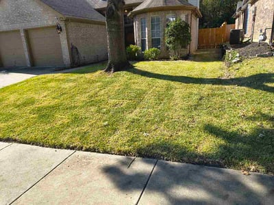 Lawn Care service in Cleburne, 76033