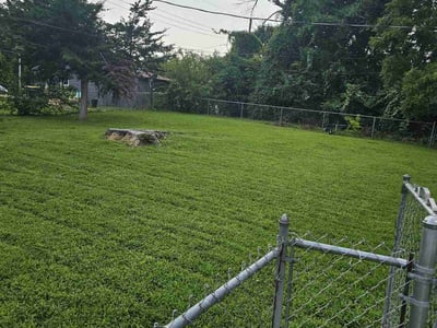 Lawn Care service in Mansfield, 02048
