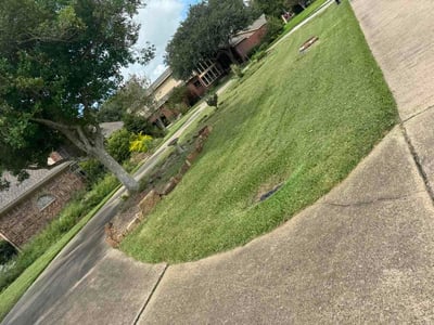 Lawn Care service in Bellaire, 77401