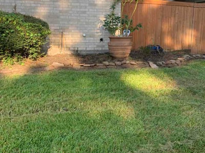 Lawn Care service in Bellaire, 77401