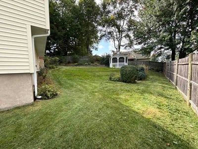 Lawn Care service in Newington, 06111