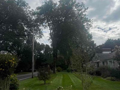 Lawn Care service in Hamden, 06518