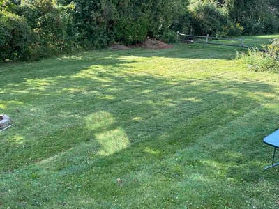 Lawn Care service in Hamden, 06518