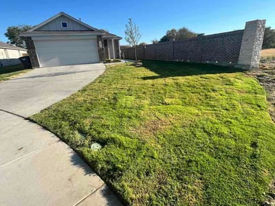 Lawn Care service in Crowley, 76036