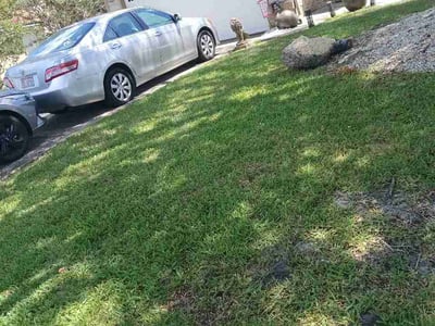 Lawn Care service in Naples, 34102