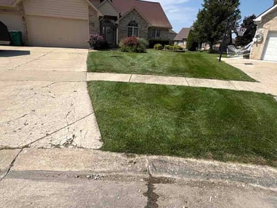 Lawn Care service in Macomb, 48044