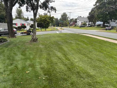 Lawn Care service in East Hampton, 06424