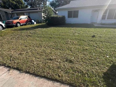 Lawn Care service in Glastonbury, 06033