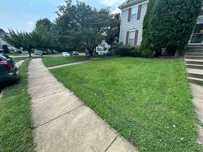 Lawn Care service in Leesburg, 20176
