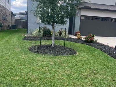 Lawn Care service in Richmond, 77469