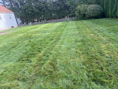 Lawn Care service in Enfield, 06082