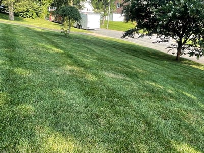 Lawn Care service in Greenbelt, 20770