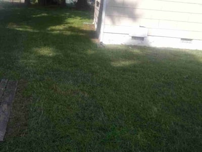 Lawn Care service in Westport, 06880