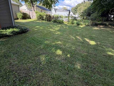 Lawn Care service in Wallingford, 06492
