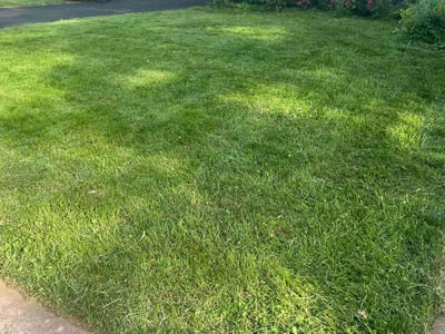 Lawn Care service in West Hartford, 06107