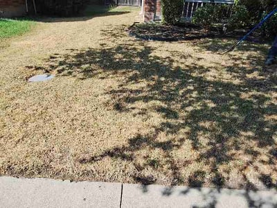 Lawn Care service in Aubrey, 76227