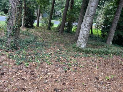 Leaf Removal service in Woodstock, 30188