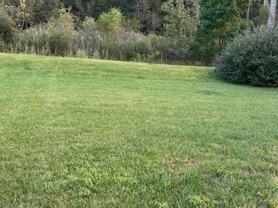 Lawn Care service in Lowell, 46356