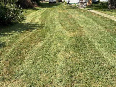 Lawn Care service in Lowell, 46356