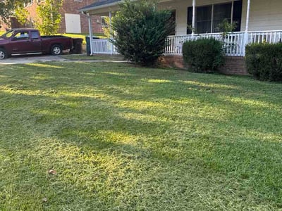 Lawn Care service in Pittsboro, 27312