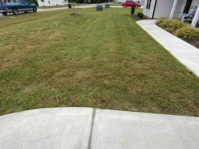 Lawn Care service in Santa Cruz, 95060