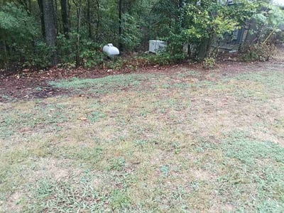 Leaf Removal service in Springdale, 72764