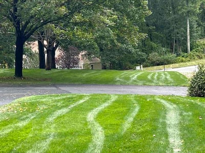 Lawn Care service in Tolland, 06084