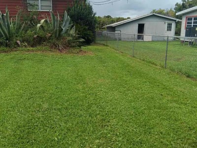Lawn Care service in Port Orange, 32127