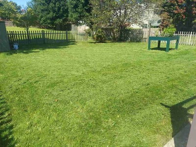 Lawn Care service in Ashville, 43103