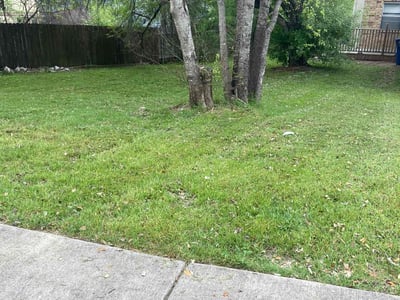 Lawn Care service in Santa Maria, 93454