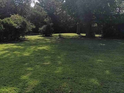 Lawn Care service in Salinas, 93901