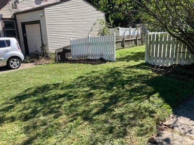 Leaf Removal service in Saint Paul, 55107