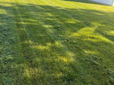 Lawn Care service in Delaware, 43015