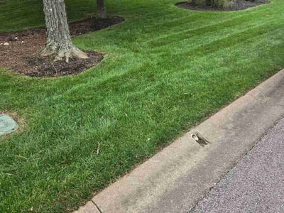 Lawn Care service in Loveland, 45140