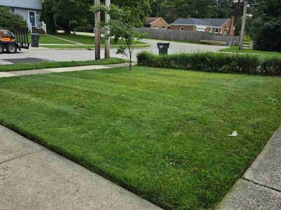 Lawn Care service in Sheffield Lake, 44054