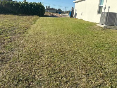 Lawn Care service in San Ramon, 94583
