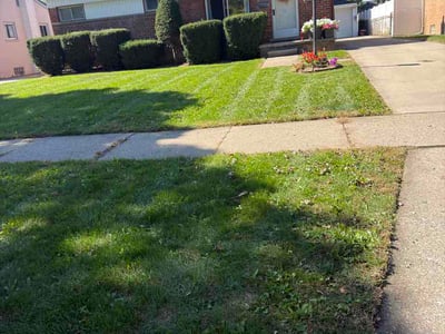 Lawn Care service in Redford, 48239