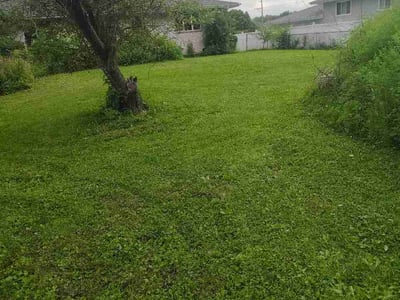 Lawn Care service in Merrillville, 46410