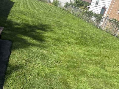 Lawn Care service in Crest Hill, 60403