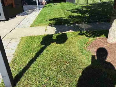 Lawn Care service in Belleville, 48111