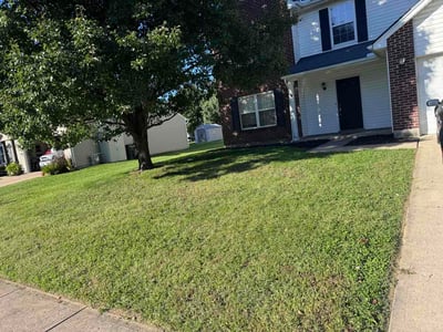 Lawn Care service in Xenia, 45385