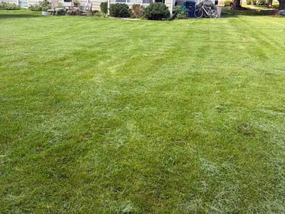 Lawn Care service in Geneva, 60134