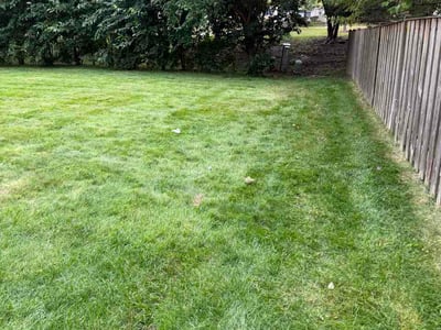 Lawn Care service in Geneva, 60134
